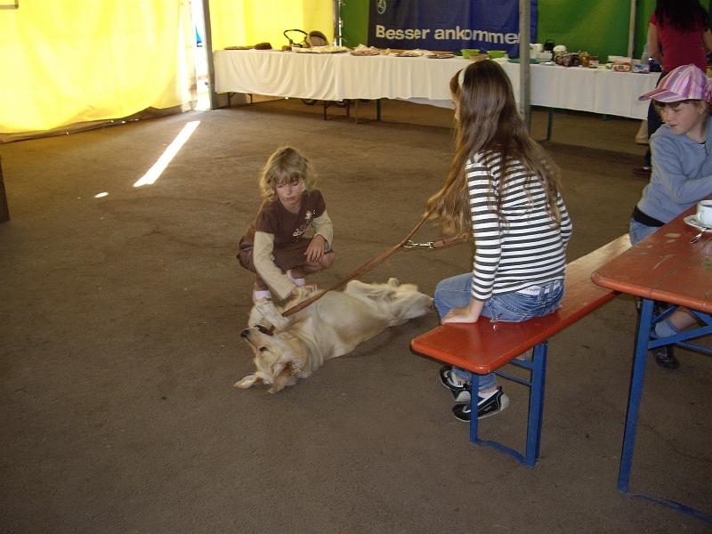 Saarland 2008
