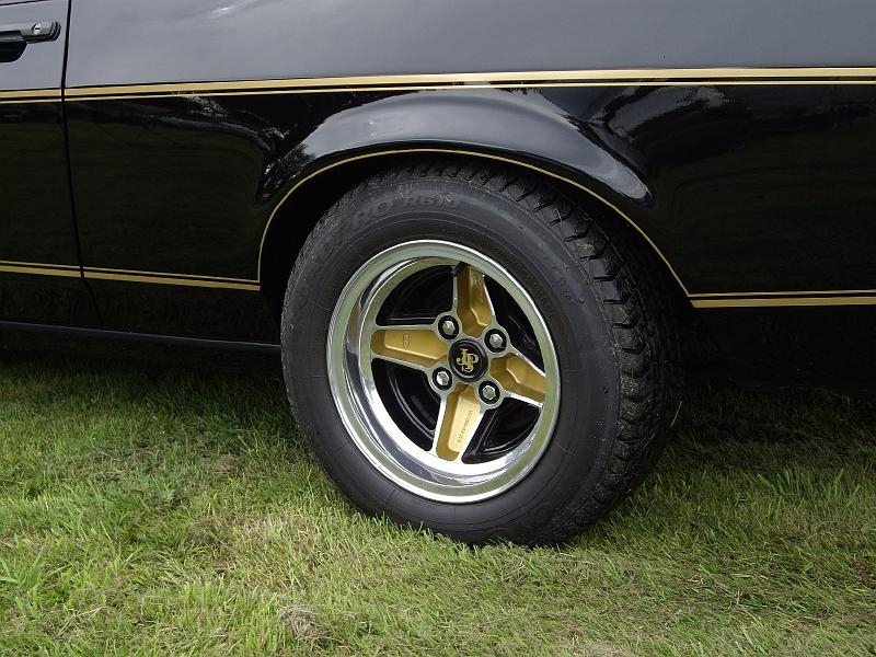 Capritreffen Friesland 2009