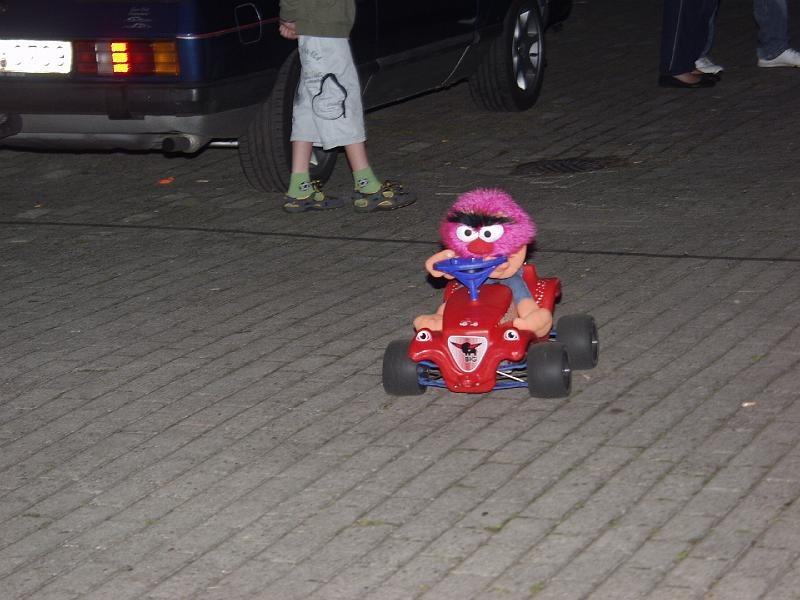 Capritreffen Friesland 2009