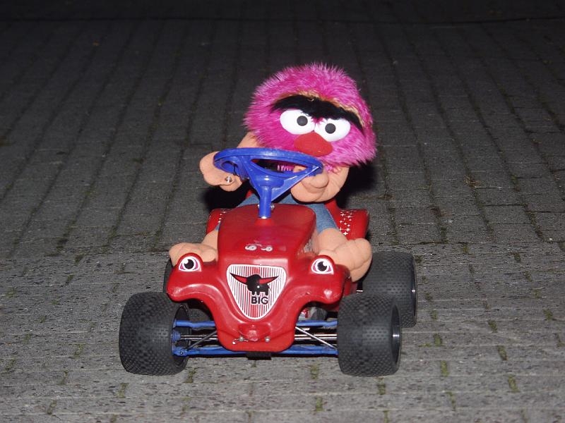 Capritreffen Friesland 2009